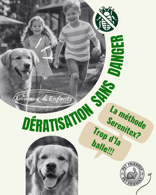 Dératisation Sans Danger pour Vos Animaux de Compagnie