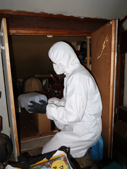 Rongeurs et chaleur : comment prévenir les infestations estivales ?