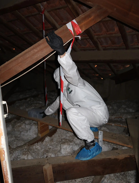 Infestation de Rongeurs en Copropriété : Que Faire ?