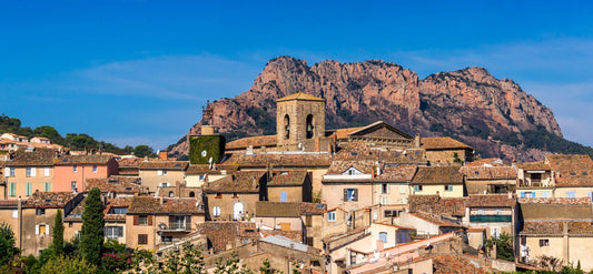 Fourmis Invasives sur la Côte d'Azur
