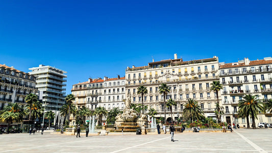 Invasion de Fourmis : Pourquoi le Var et la Côte d'Azur Sont en Première Ligne