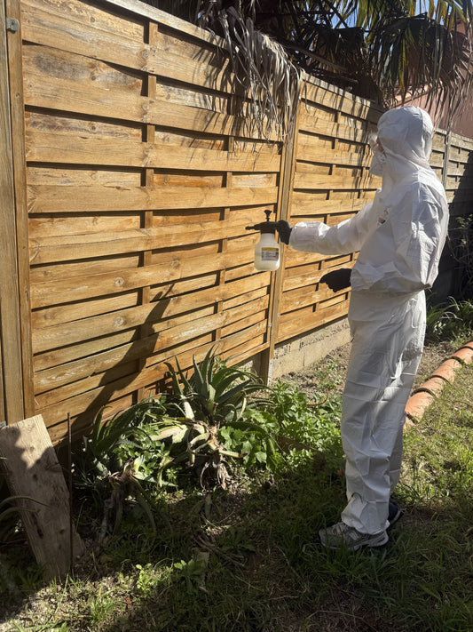 La Saison des Moustiques Approche : Agir Tôt, C'est Gagner
