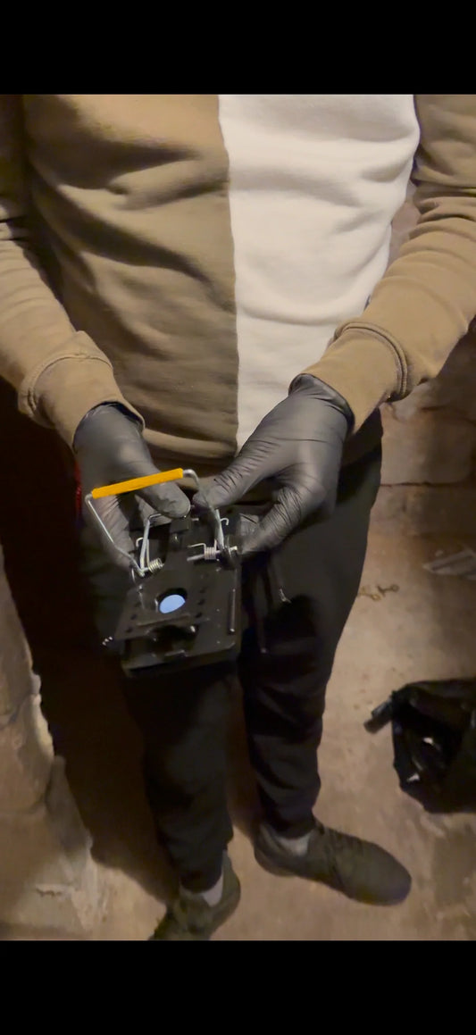 Comment préparer son logement avant une dératisation ?