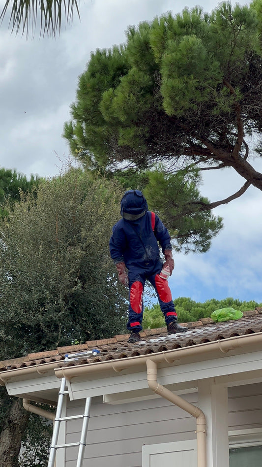 Prévention Guêpes et Frelons : Agir Avant l'Été pour Protéger Votre Foyer
