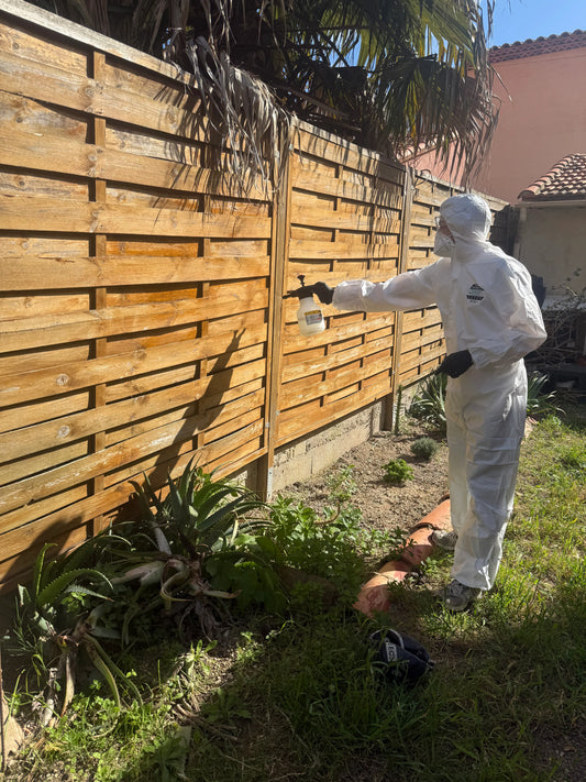 Moustiques autour des villas avec piscine : reprenez vos soirées d'été