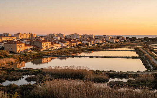 Dératisation à Hyères : une ville posée sur ses zones humides